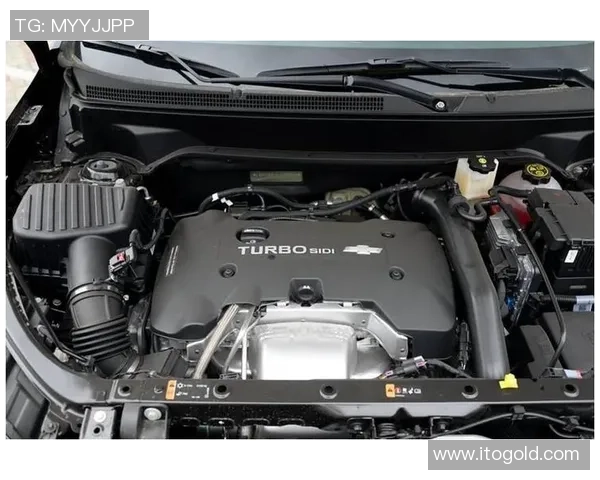 天主教与萨斯菲尔德的激烈对决谁能笑到最后的精彩赛事分析